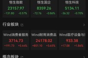 随县港股大反弹，“雪王”创新高
