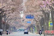随县共建“花园城市” 北京这场议政会“百花齐放”