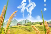 随县芒种节气小知识来了 夏种作物都有什么？