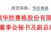 随县华控赛格董事长、董秘、副总经理三高管同日辞职