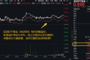 随县超1亿元！成交额激增，信创成香饽饽！三大核心因素驱动，信创ETF基金（562030）全天宽幅溢价